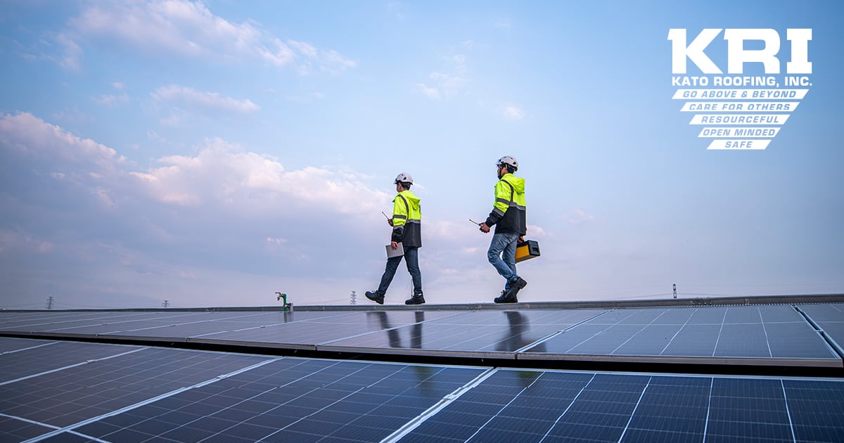 Why A Professional Roofer Makes All The Difference